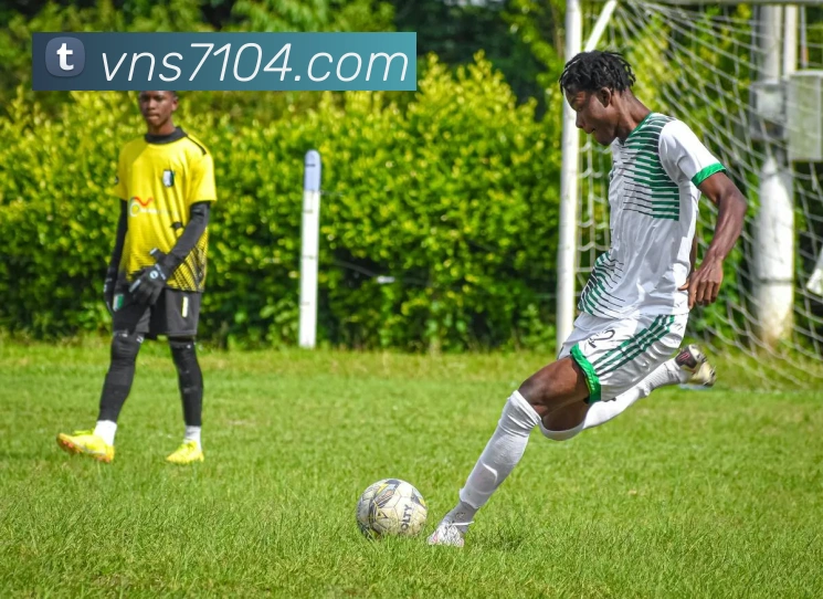 奖项证书